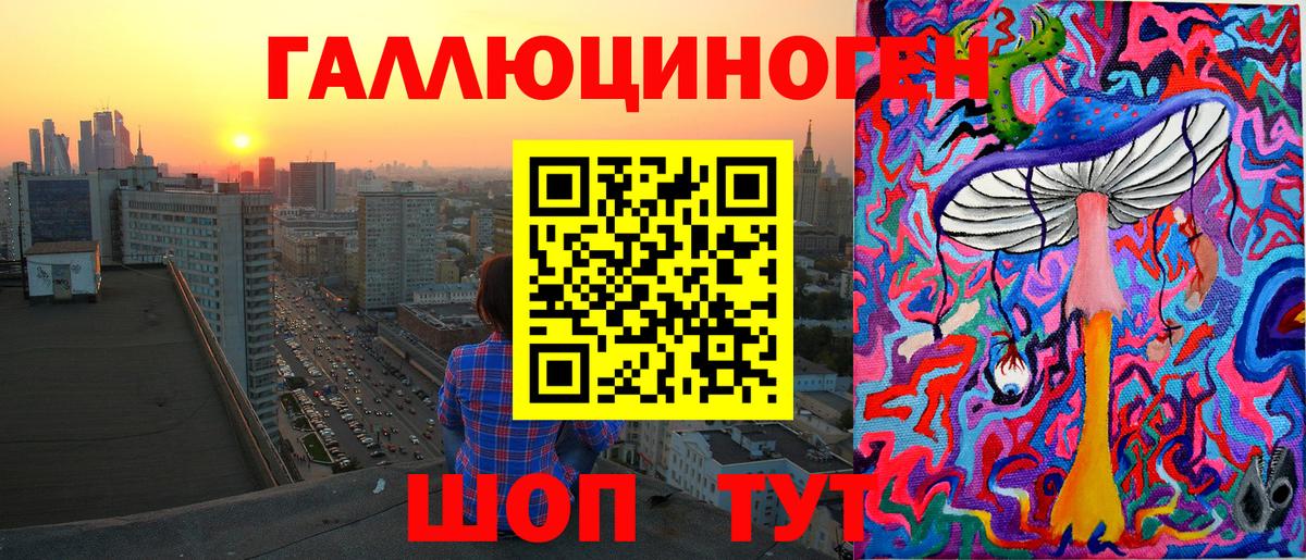 Псилоцибиновые грибы Psilocybine cubensis Крымск